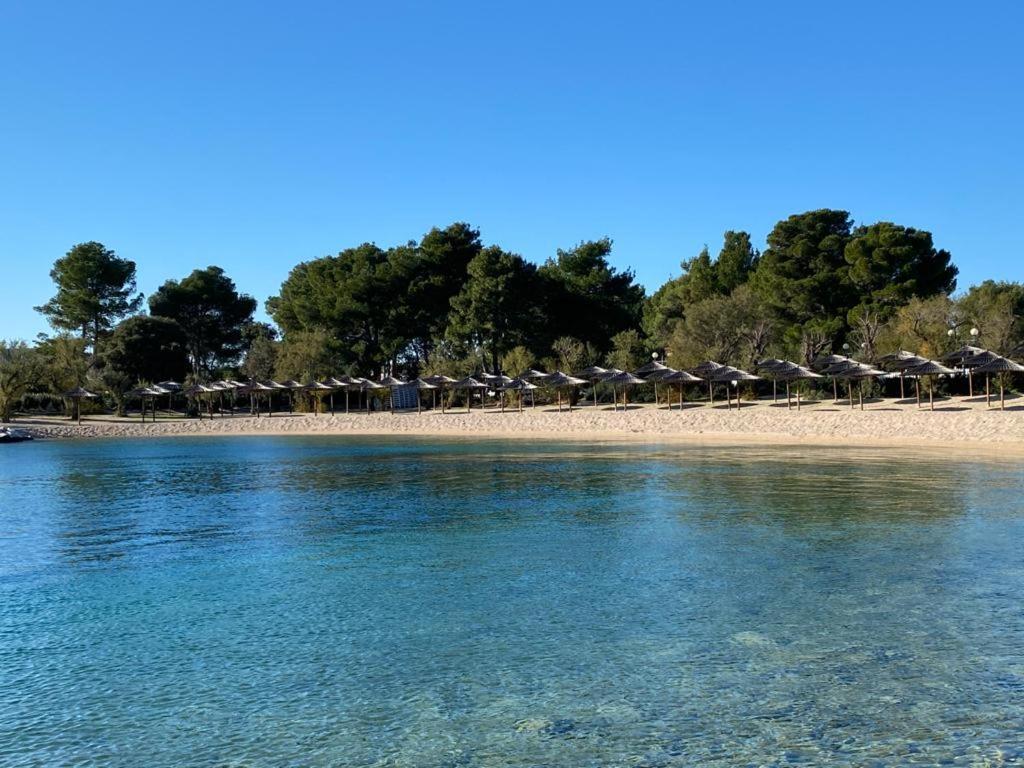 Apartments Plavi Biser Σίμπενικ Εξωτερικό φωτογραφία